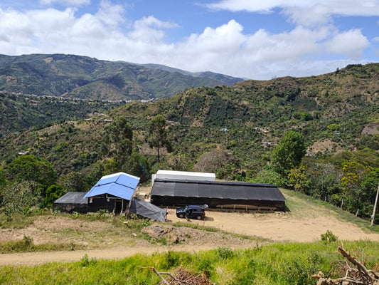Colombie - LA WAYRA