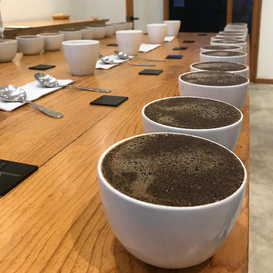 Atelier : caféologie I / + cupping *