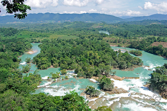 DECAF Mexique - Le Rêveur